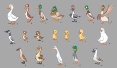 the different types of ducks and their babies are shown in this cartoon character's drawing
