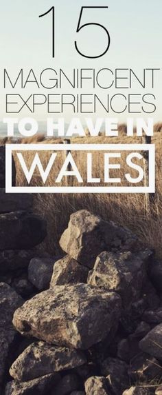 some rocks and grass with the words 15 magnificent experiences to have in wales