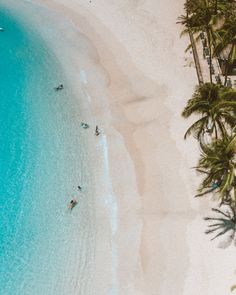 people are swimming in the clear blue water on a beach with palm trees and white sand