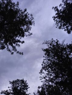 the sky is very cloudy and there are trees