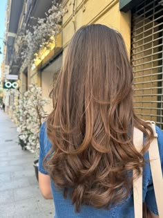 Brown Long Layers Hair, Long Brown Hair Long Layers, Layers For Long Hair Brown, Long Layers On Black Hair, Soft Layers Brown Hair, Brown Layered Hair Long, Long Length Layered Haircuts, Haircut Ideas Long Layers, Long Layers On Brown Hair