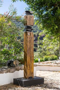 a tall wooden pole sitting in the middle of a forest