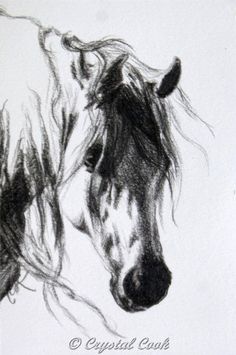 a black and white drawing of a horse's head with long hair blowing in the wind