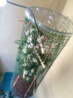 a bird feeder filled with lots of plants