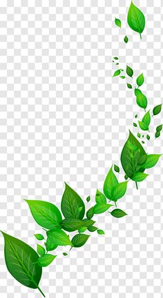 green leaves flying in the air on a transparent background, hd png and psd