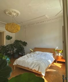 a bed sitting in a bedroom next to a plant on top of a hard wood floor