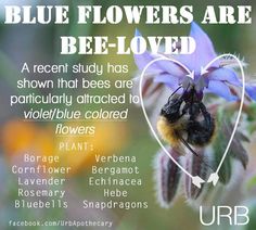 blue flowers are bee - loved with an image of a bum in the center and below it