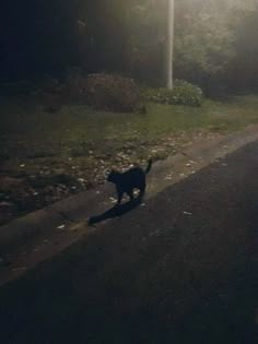 a black cat walking down the street at night with its head turned to the left