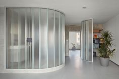 a room that has a glass shower in the corner and a potted plant next to it