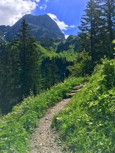 a trail in the mountains with trees and grass