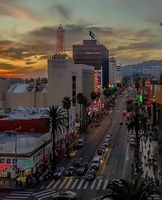 a city street filled with traffic next to tall buildings and palm trees in the foreground