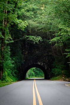 an empty road with a tunnel in the middle surrounded by green trees and tall, leafy trees