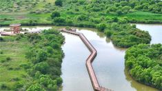 an aerial view of a river with a wooden bridge in the middle and lots of trees around it