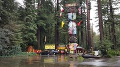 a group of flags hanging from the side of a tall tree in front of a forest