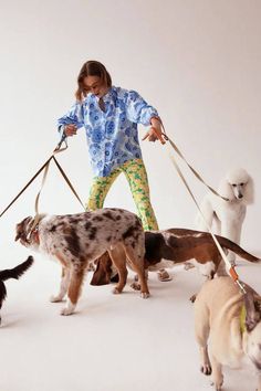 a woman in blue shirt walking dogs on leashes