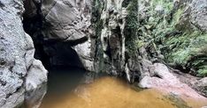 a small pool in the middle of a rocky area with trees growing on it's sides