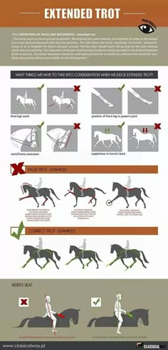 an info sheet shows how to ride horses