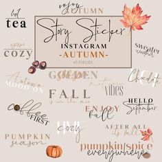 the autumn font and numbers are all in different styles