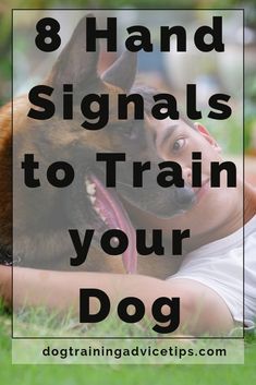 a boy laying on the grass with his dog and text that reads 8 hand signals to train your dog