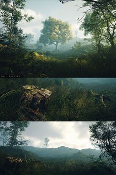 three different views of trees and mountains in the distance, with one tree on the other side