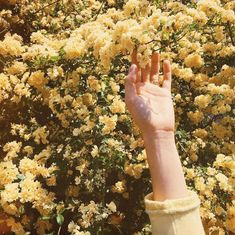 a person's hand reaching up into the air with yellow flowers in the background