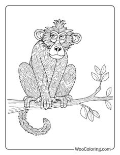 a monkey sitting on top of a tree branch with leaves and branches around its neck