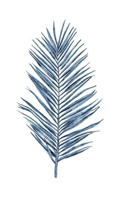 a blue palm leaf on a white background