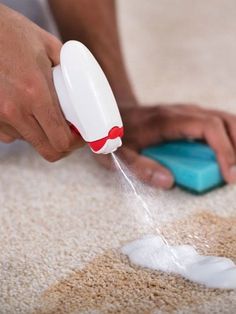 a person using a squirt to clean the carpet with a sponge on it