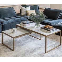 a living room with two couches, a coffee table and some books on it