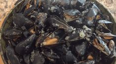 a bowl full of mussels sitting on top of a counter