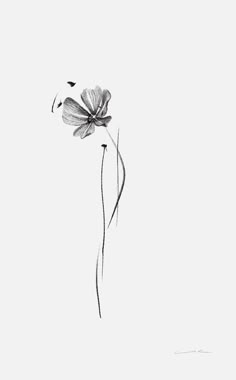 Waiting Tattoo Ideas, Small Flowy Tattoo, Minimalist Tattoo Female, Open Tulip Tattoo, Writing Tattoos, Tasteful Tattoos, Flowers Tattoo, Cool Small Tattoos, Small Hand Tattoos