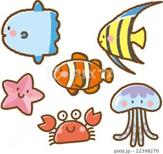 an image of various sea animals on a white background