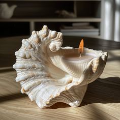 a candle that is sitting in a shell