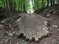 a person standing on top of a brick road in the woods