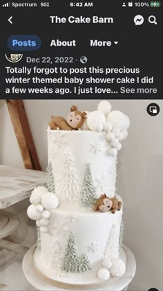 the cake is decorated with white frosting and teddy bears on top, while snowflakes are all around it