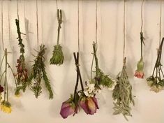 dried flowers hanging on a wall with string