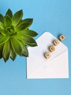 a green plant sitting next to an envelope with the word august spelled on it