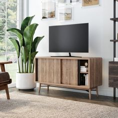 a living room with a large plant in the corner and a television on top of it