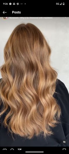 Highlights For Strawberry Brown Hair, Layer Balayage Hair, Light Ginger Blonde Highlights, Strawberry Blonde And Brown Balayage, Golden Strawberry Blonde Highlights, Natural Dark Strawberry Blonde Hair, Natural Ginger Balayage, Blonde With Red Tones, Golden Hair With Lowlights