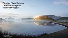 an image of a water front with the words yangtze river estary chinese surgeon nature preserve