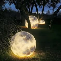 three glowing orbs in the grass near trees