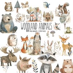 watercolor woodland animals clipart set