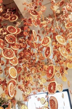 oranges are suspended from the ceiling in an art installation with dried leaves and fruit