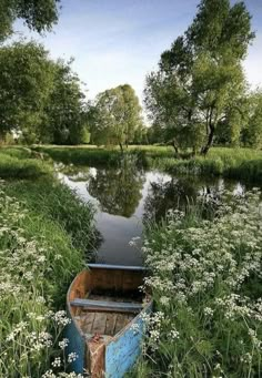 a small boat sitting on top of a river next to tall grass and white flowers