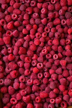 raspberries are shown in this instagram