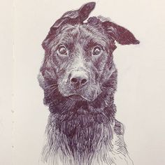 a drawing of a dog's head is shown