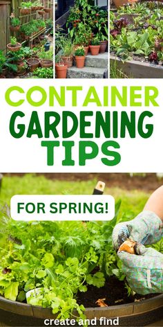 DIY spring container gardening tips for beginners. Veggie Garden Layout, Large Yard, Garden Layout, Veggie Garden