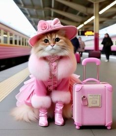 a cat in a pink dress and hat next to a suitcase on the ground at a train station