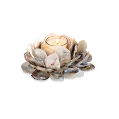 a candle that is sitting on top of some seashells in the shape of a flower