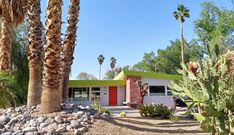 a small house surrounded by palm trees and rocks